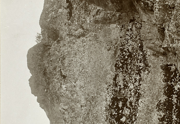 Neitsytriutta