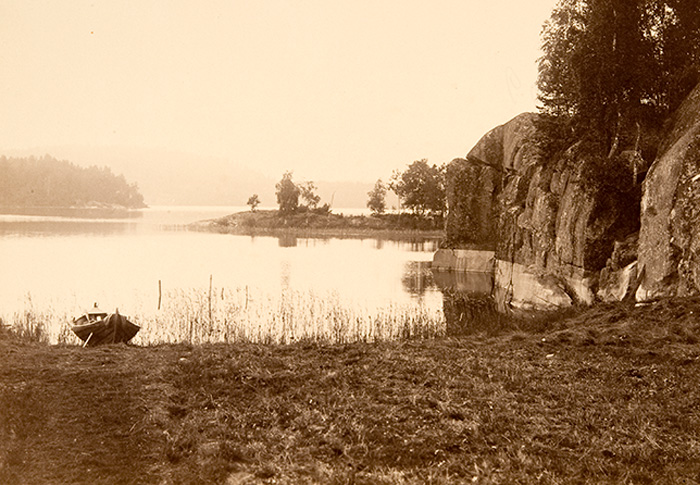 Tamhanka