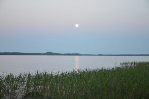 Vodlajärvi
